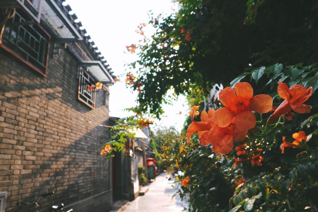 Peking Garden Boutique Hotel Exterior photo